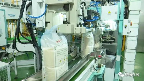 射陽大米首獲省政府農業技術推廣獎，技術創新引領產業升級